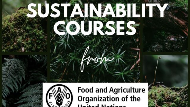 Study free sustainability courses from The Food and Agriculture Organization of the United Nations (FAO).