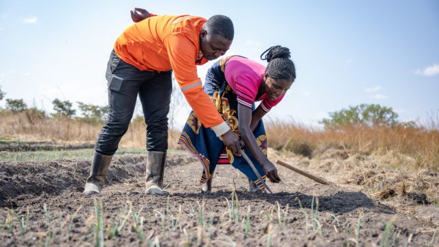 CFSA’s 2nd Call for Applications is now open to agribusinesses