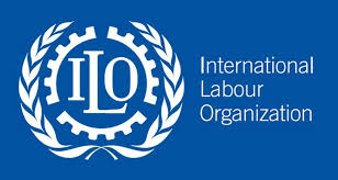 Funded : Apply for the ILO Fellowship 2024 for Young Professionals